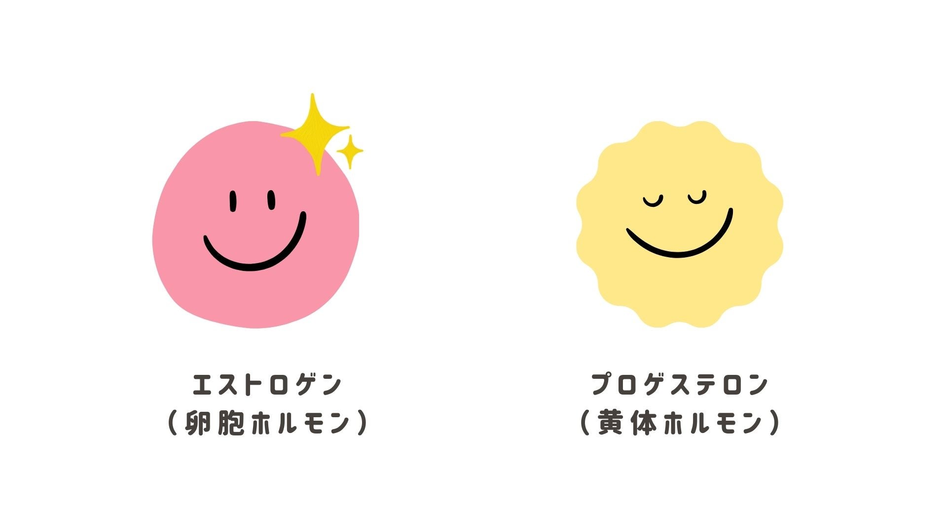 女性ホルモンの働きを紹介します