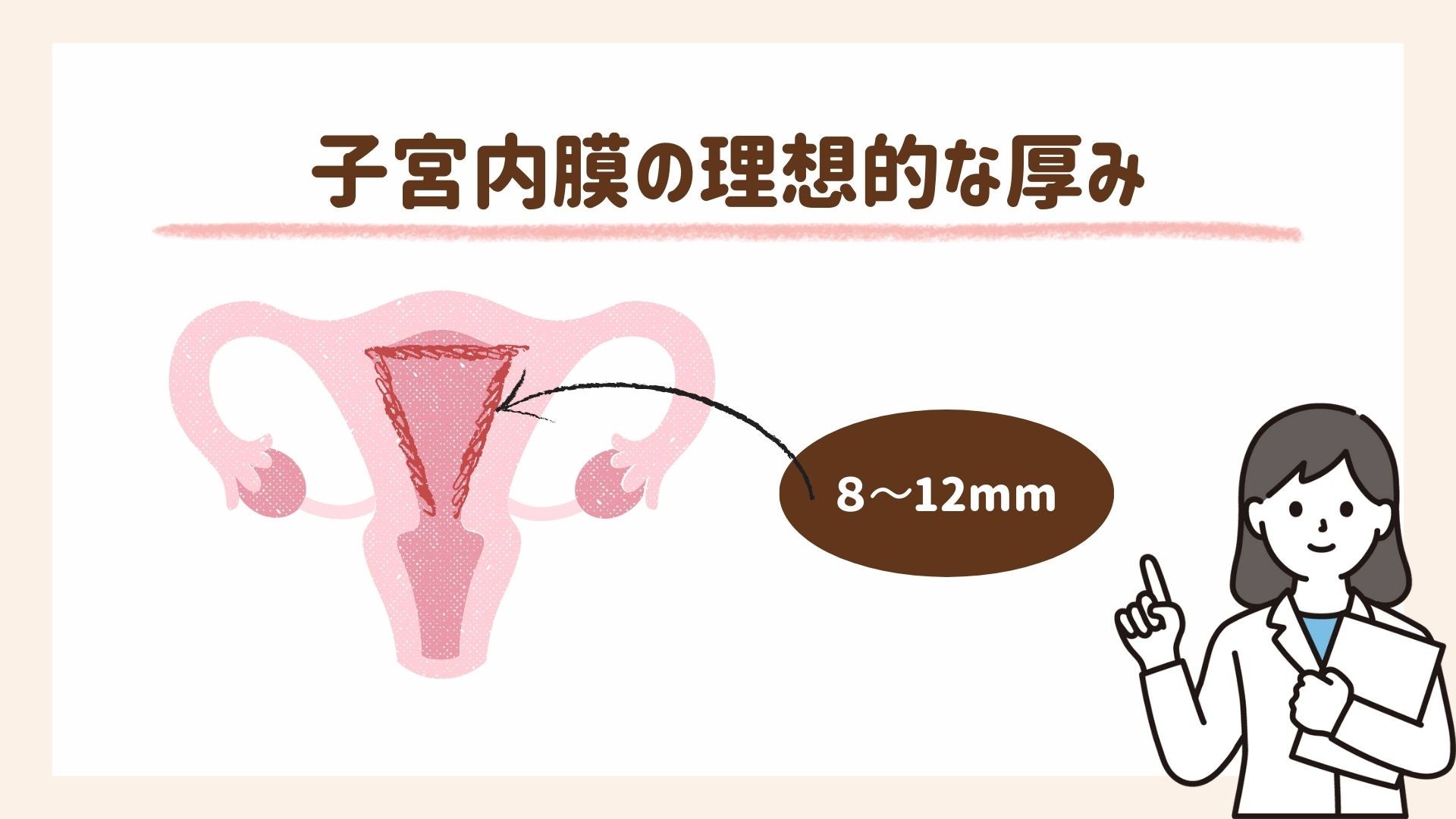 子宮内膜の理想的な厚みについて解説します