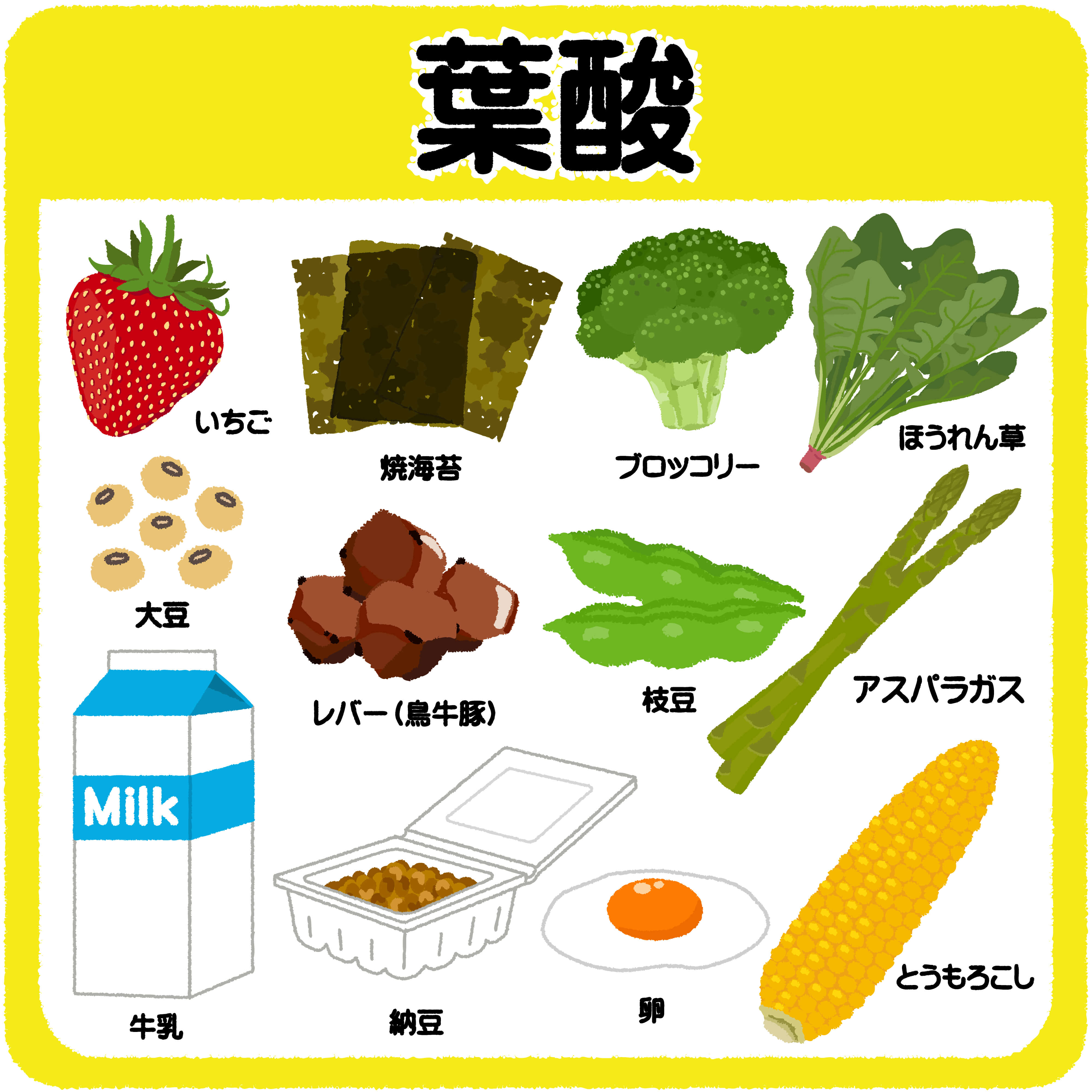 葉酸は緑黄色野菜、豆類、果物、レバーなどに多く含まれます。
