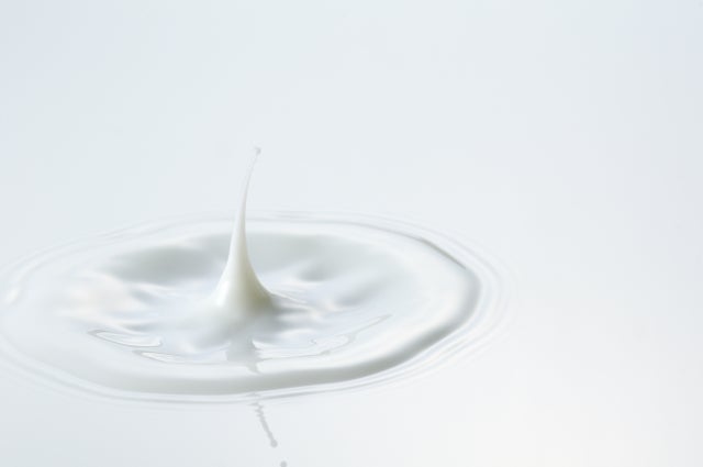 タンパク質であるラクトフェリンは乳酸菌のラクトバチルス菌を増やす働きがある