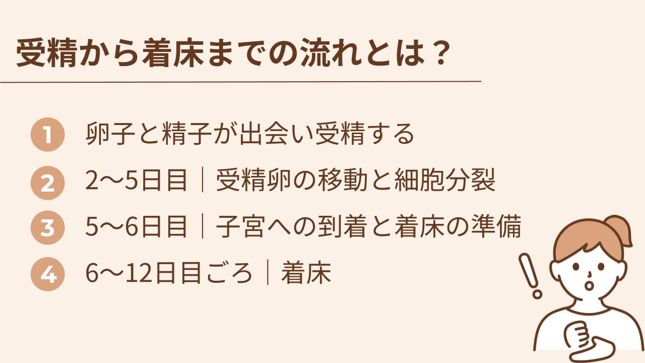 åŠåš ã¯ã粟åãšåµåãåºäŒããšããããå§ãŸããå粟åµãåå®®ã«æ ¹ä»ããçåºããçµãŠæç«ããŸãããã®æµãã¯æ°æ¥éãšããçãæéã§é²ã¿ãŸããããã®éã«äœã®äžã§ã¯å€§ããªå€åãèµ·ããŠããŸãã