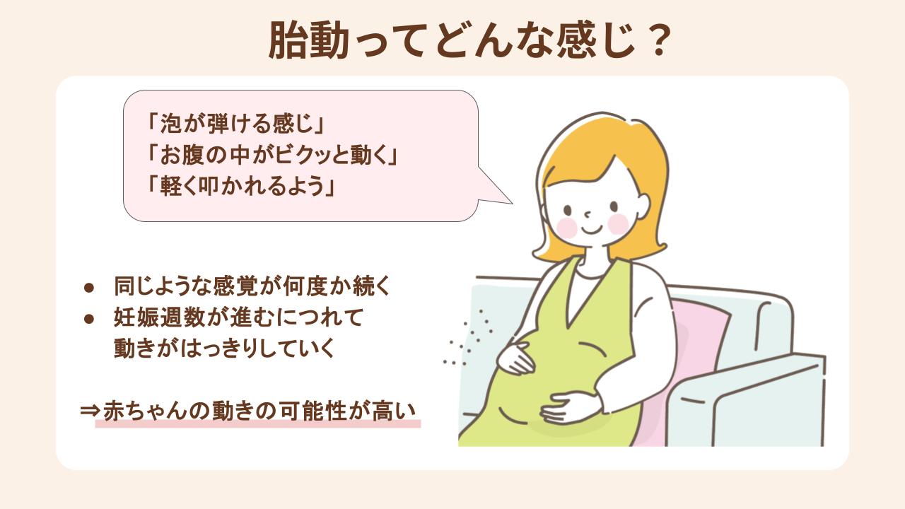 胎動の感じ方を紹介
