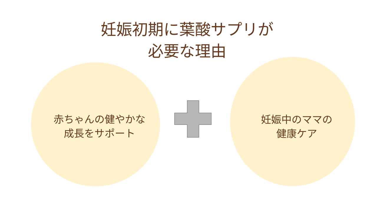 妊娠初期に葉酸サプリが必要な理由は、赤ちゃんの健やかな成長をサポートすることと、妊娠中のママの健康ケアです。
