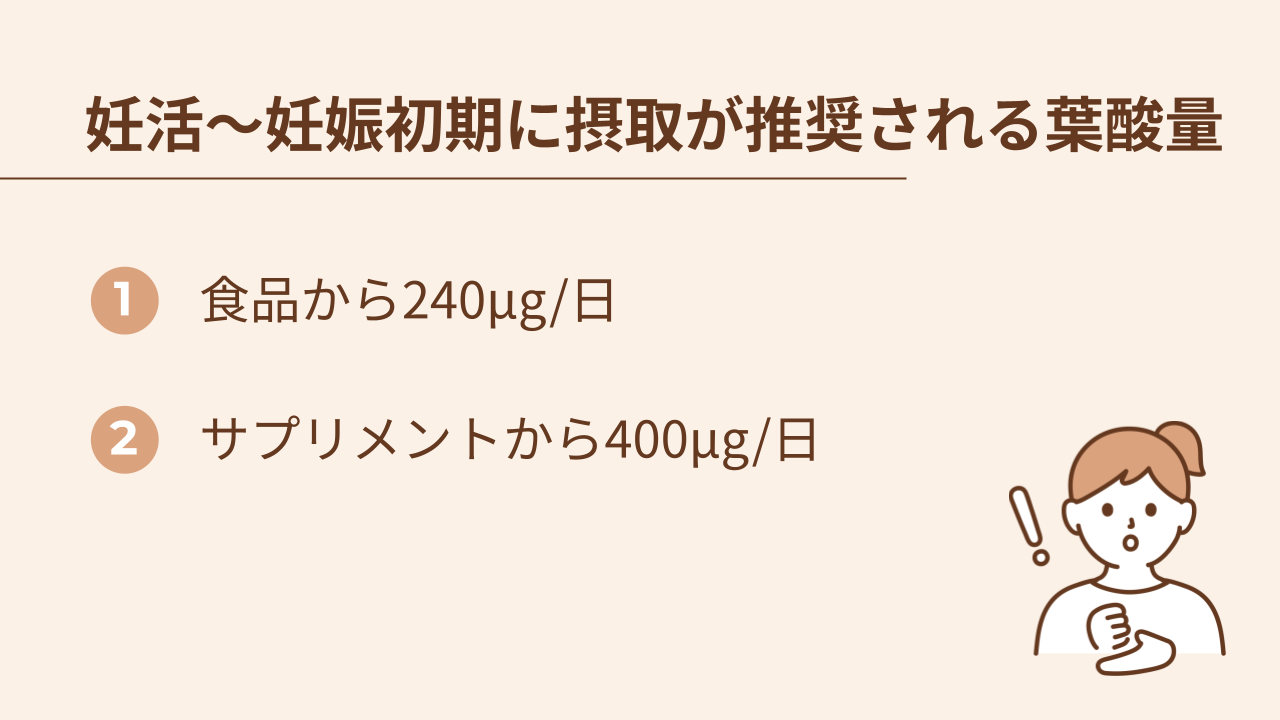 妊活～妊娠初期に摂取が推奨される葉酸量あ食品から240μg、サプリメントから400μg
