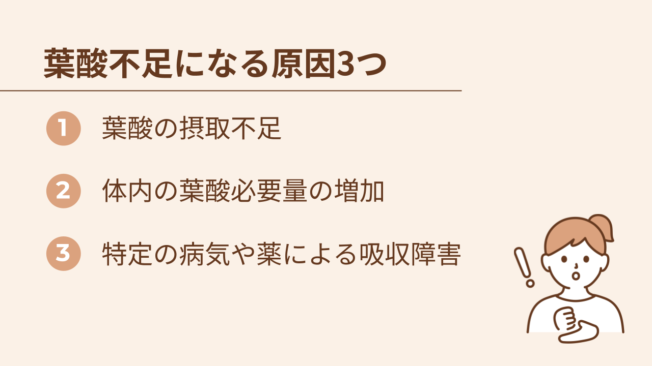 葉酸不足になる原因は①摂取不足②必要量の増加③吸収阻害