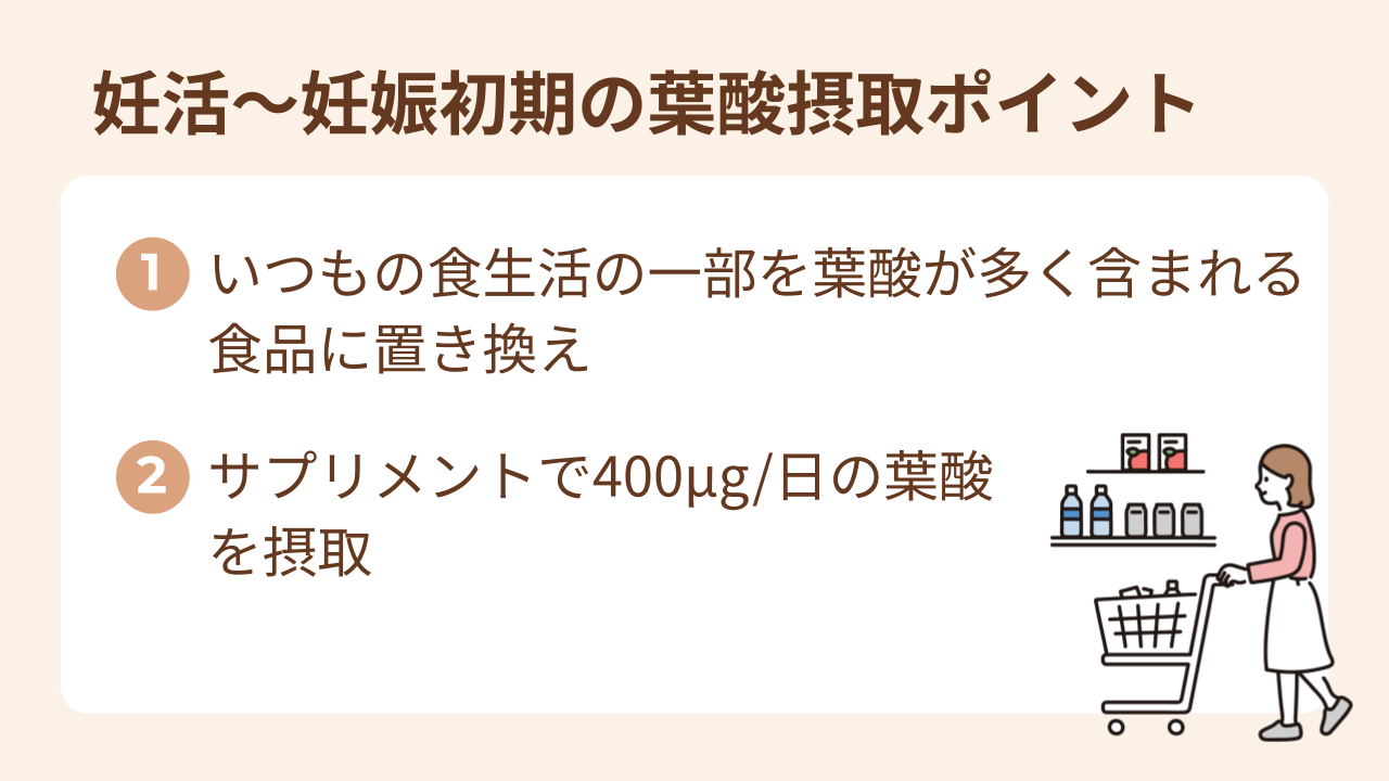 妊活～妊娠初期の葉酸摂取ポイントは①バランスのよい食事②葉酸サプリメントの活用