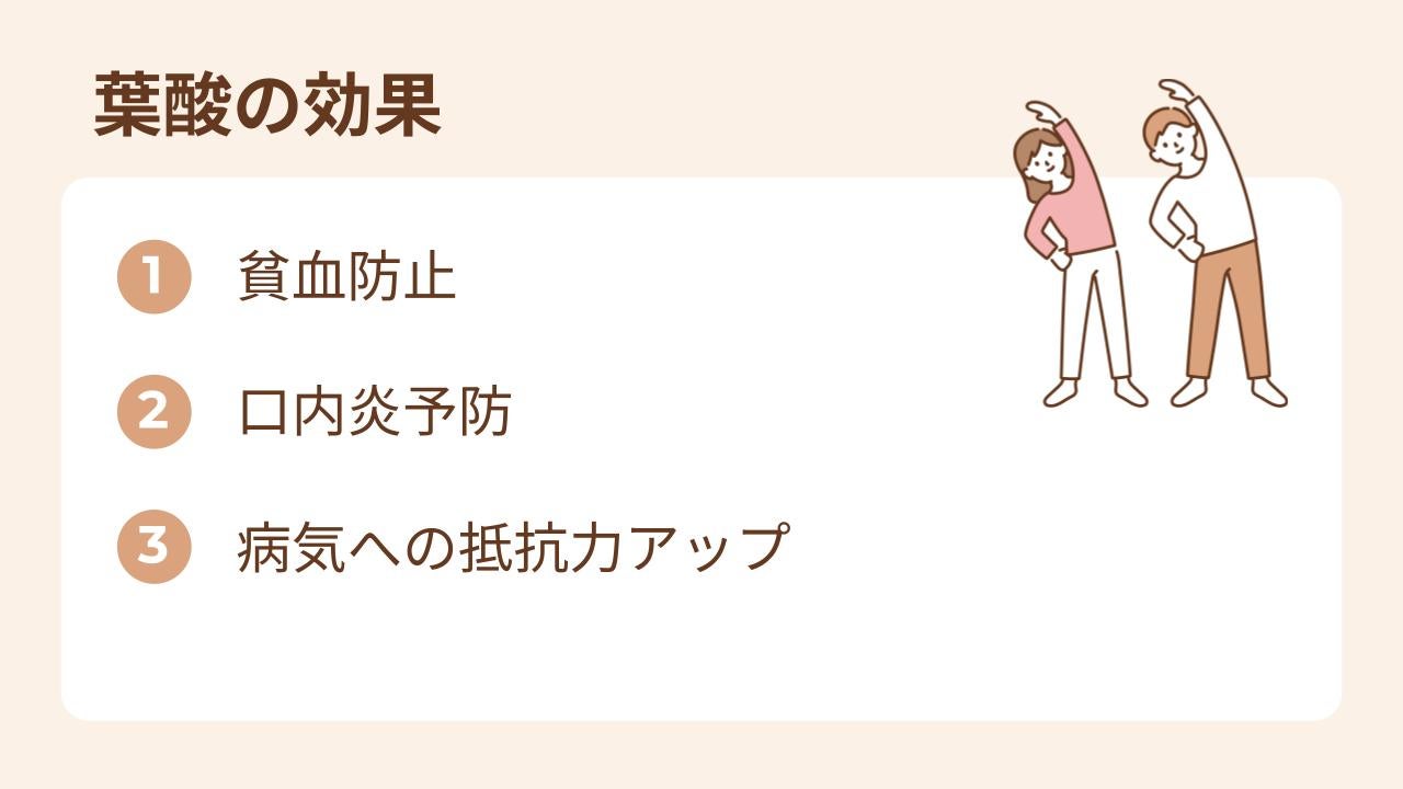 葉酸には貧血予防・口内炎予防・免疫力アップが期待できます。
