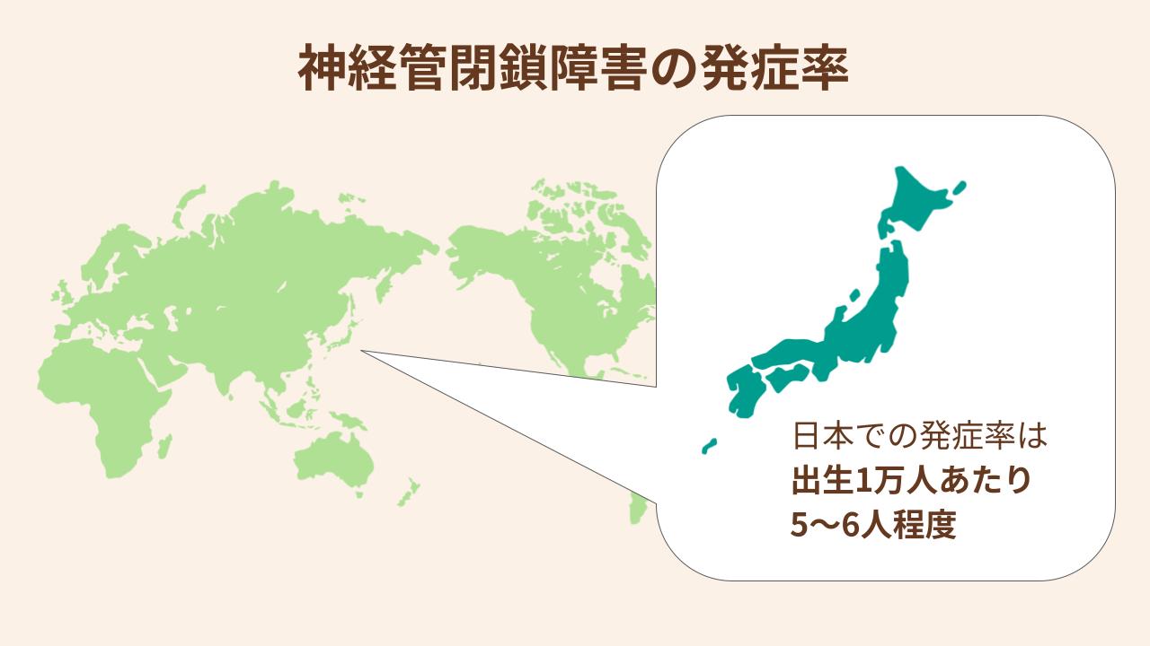 日本での神経管閉鎖障害は出生1万人あたり5～6人程度