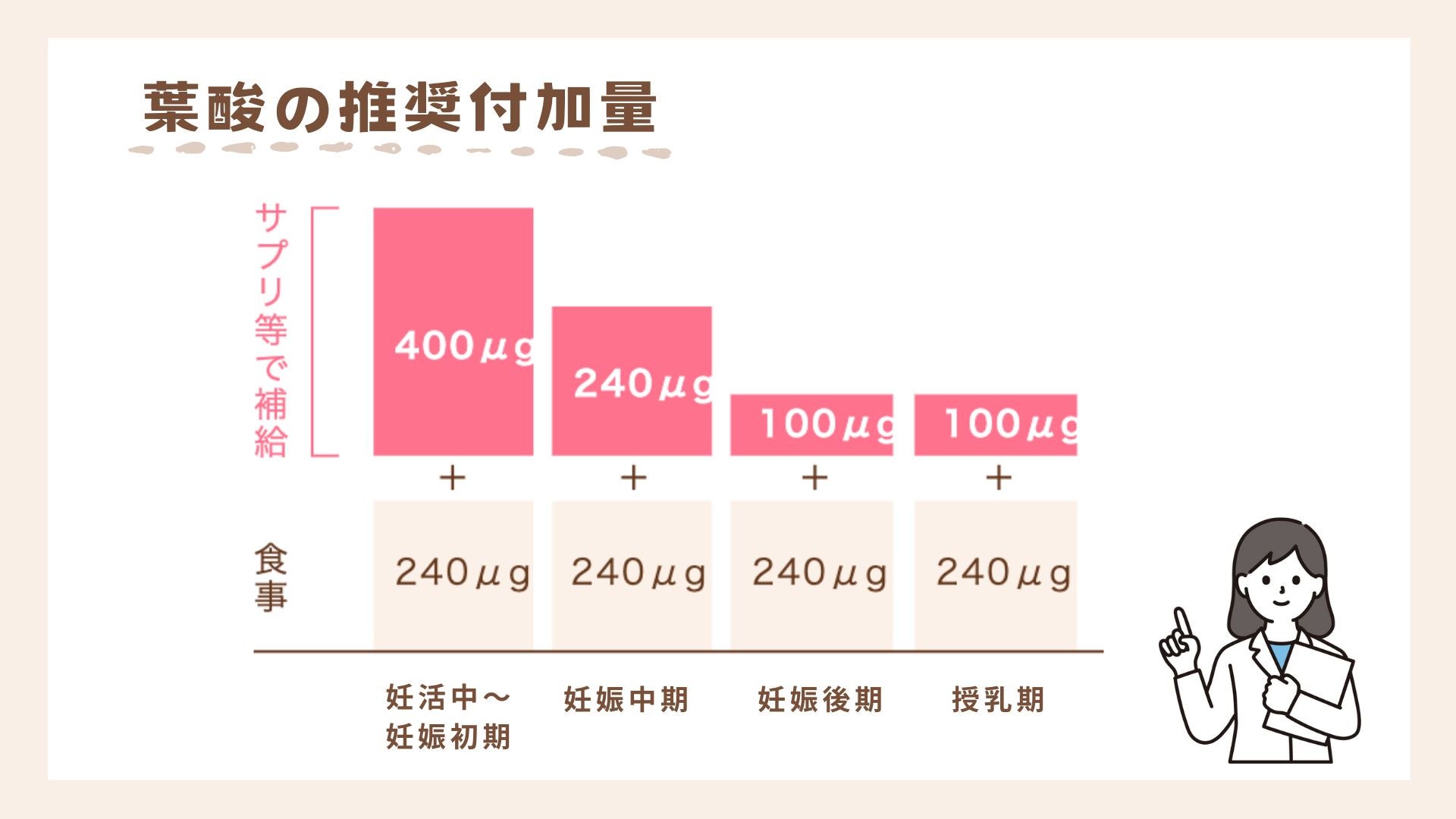 時期によって推奨量は異なります