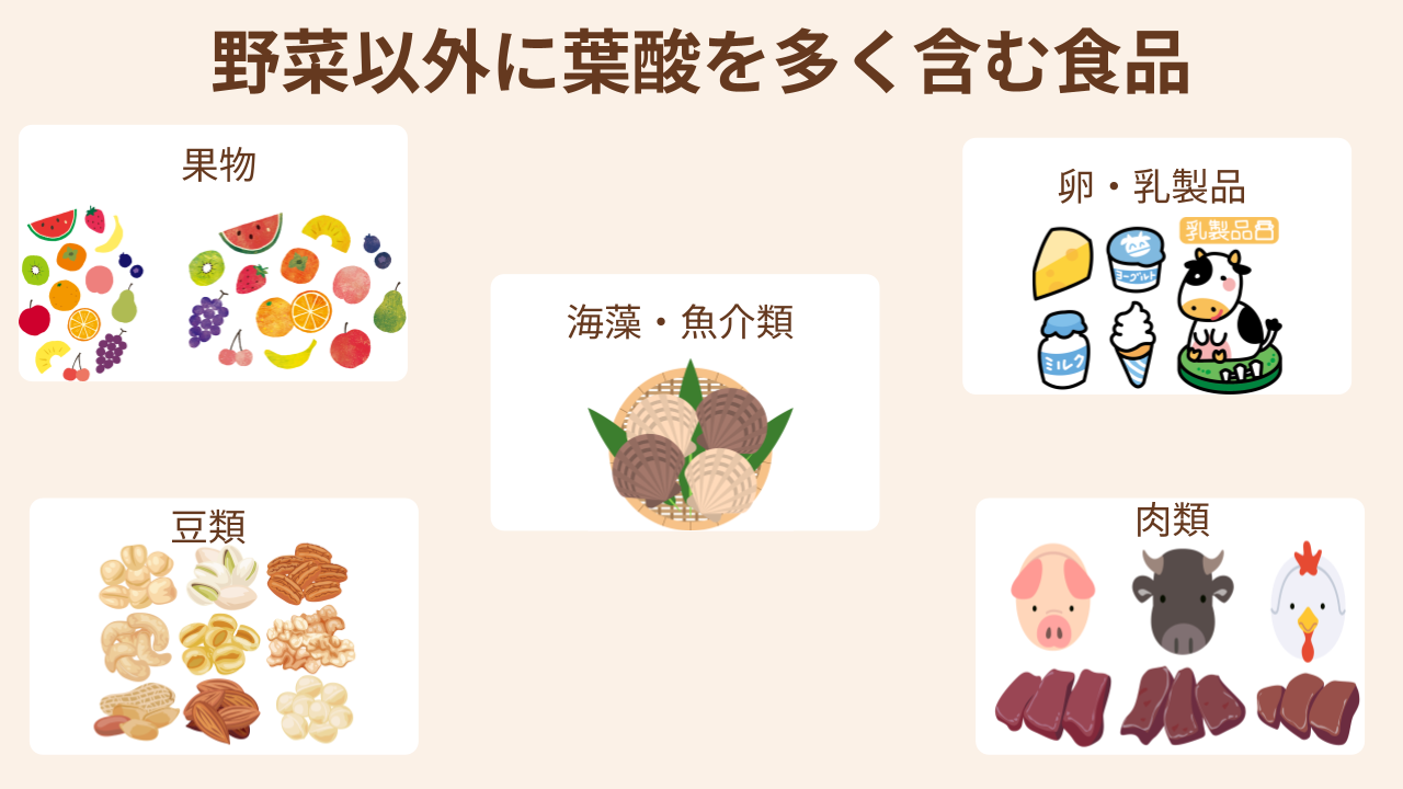 果物、豆類、魚介類、乳製品、肉類にも葉酸は含まれる