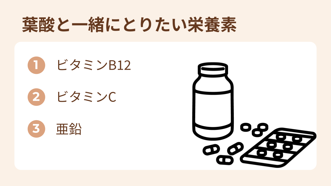 ビタミンB12、ビタミンC、亜鉛は妊活中に大切な栄養素です。