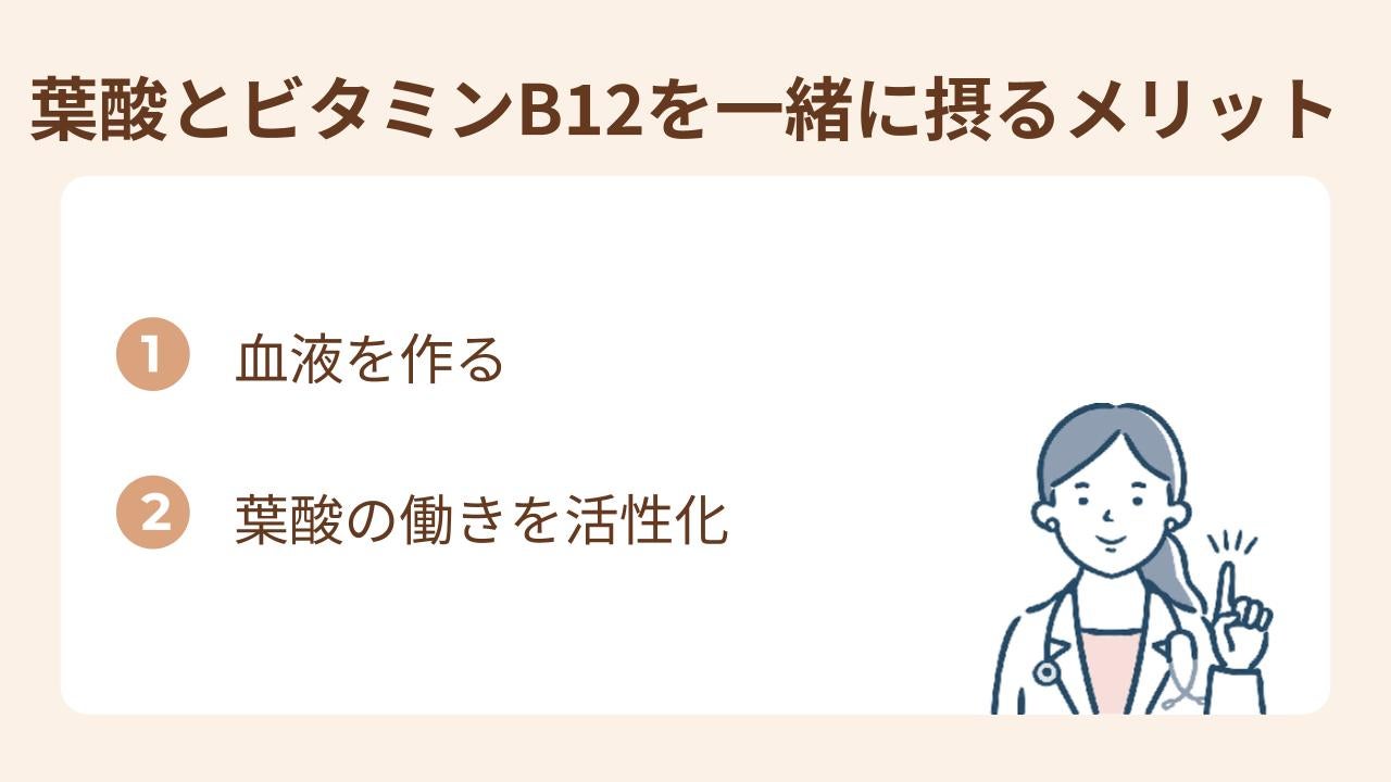 葉酸とビタミンB12を一緒に摂ることで、血液を作り、葉酸の働きを活性化することができる