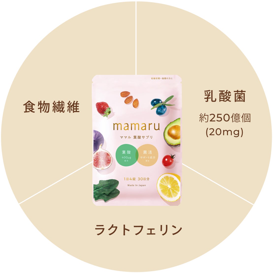 mamaru (ママル) 葉酸サプリは妊娠中に不可欠な栄養素をオールインワンで配合されている菌活もできる葉酸サプリメントです。厚生労働省の定める葉酸400㎍、鉄分、ビタミンやミネラル20種類以上、更に乳酸菌250億個以上と食物繊維配合で妊娠中の体調管理をサポートします。
