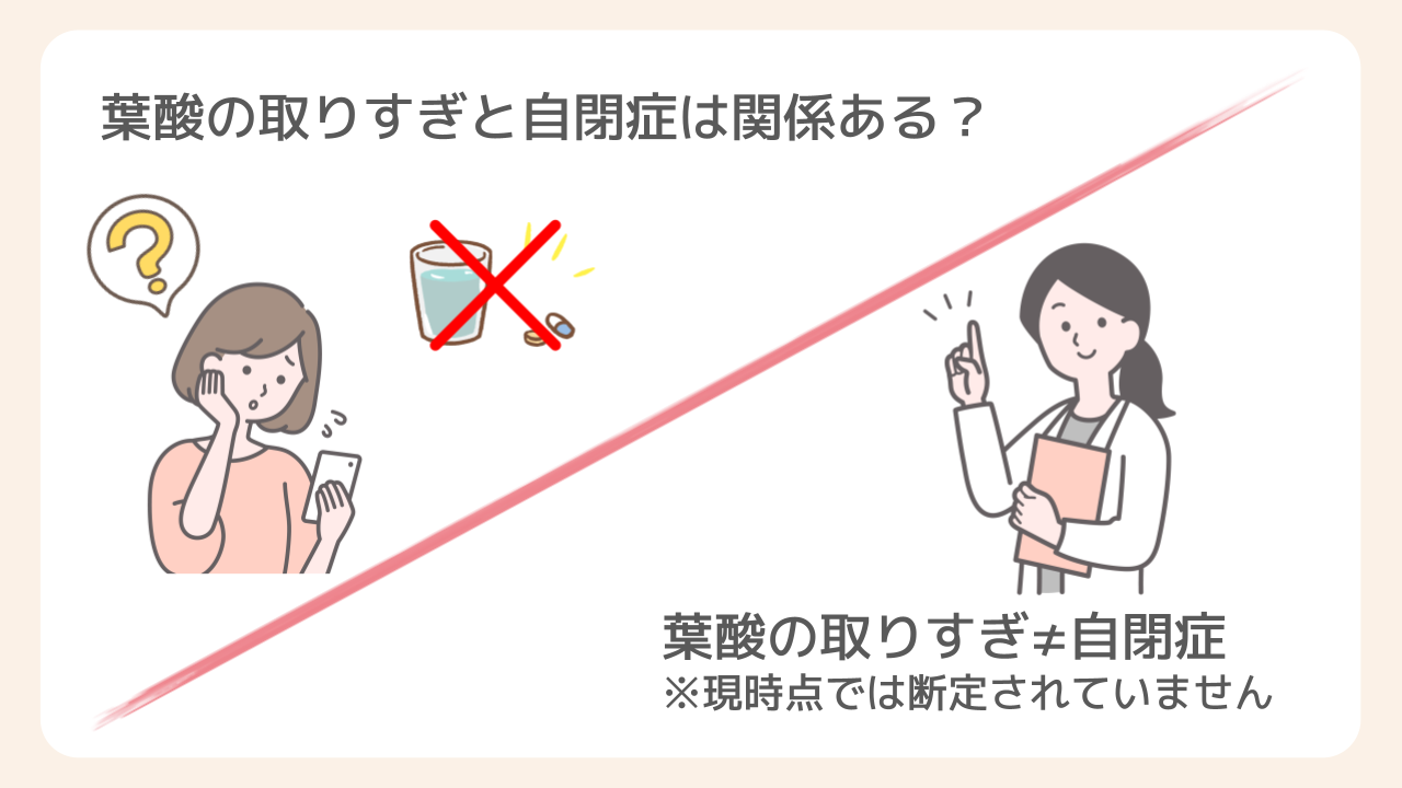 葉酸の取りすぎと自閉症は関係ある？