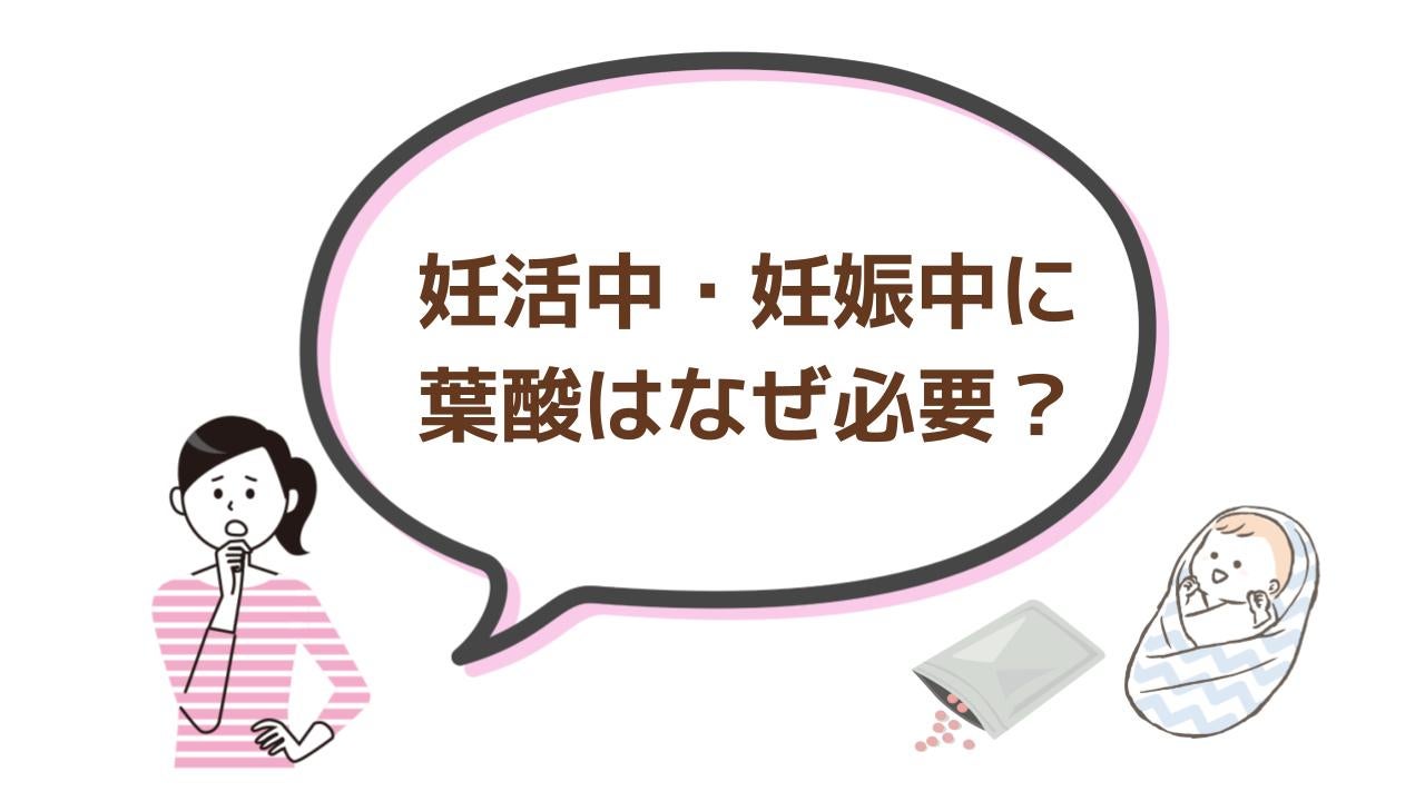 葉酸はなぜ必要？