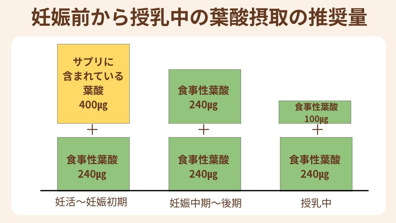 妊娠前から授乳中は通常時より多くの葉酸摂取が推奨されているため、葉酸サプリは妊娠前から授乳期まで飲み続けるのがおすすめ