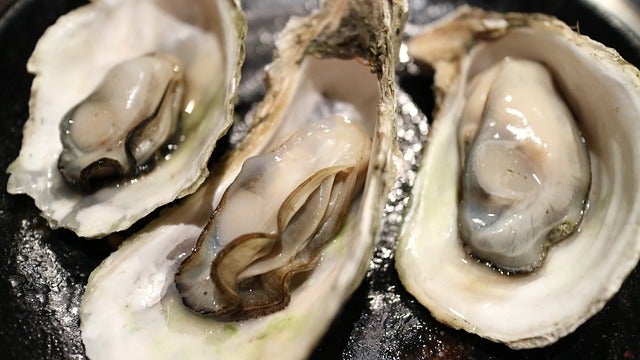 男性妊活に役立つ亜鉛の多い代表的な食品は牡蠣です