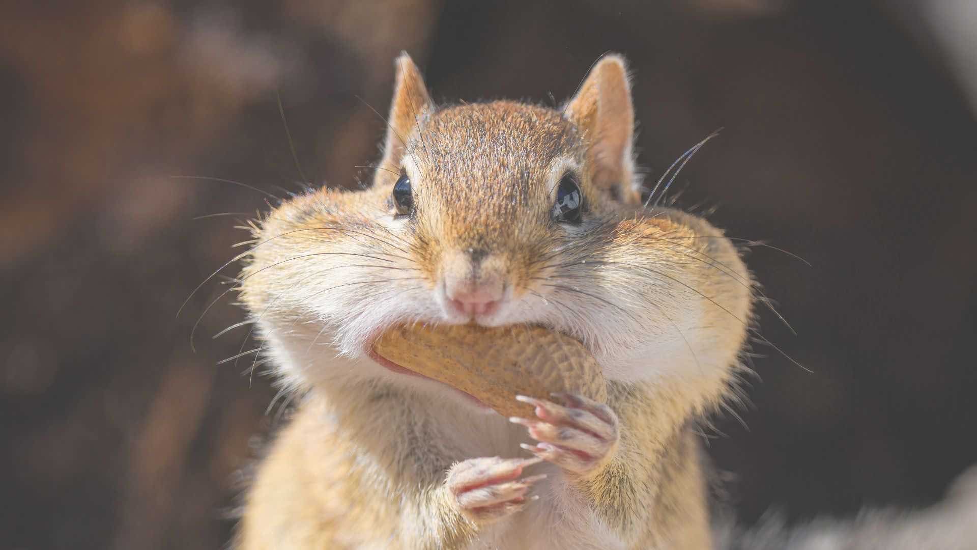 妊娠糖尿病になりやすい食習慣を紹介します