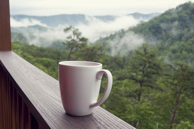 緑茶を飲むことで、含まれる成分によりリラックス効果が期待できます。