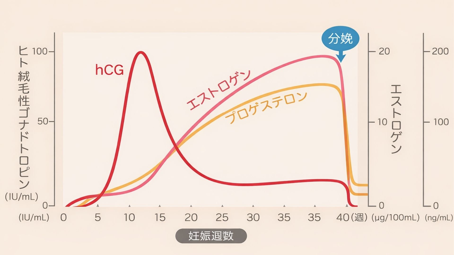 妊娠に関係する3種類のホルモンの推移