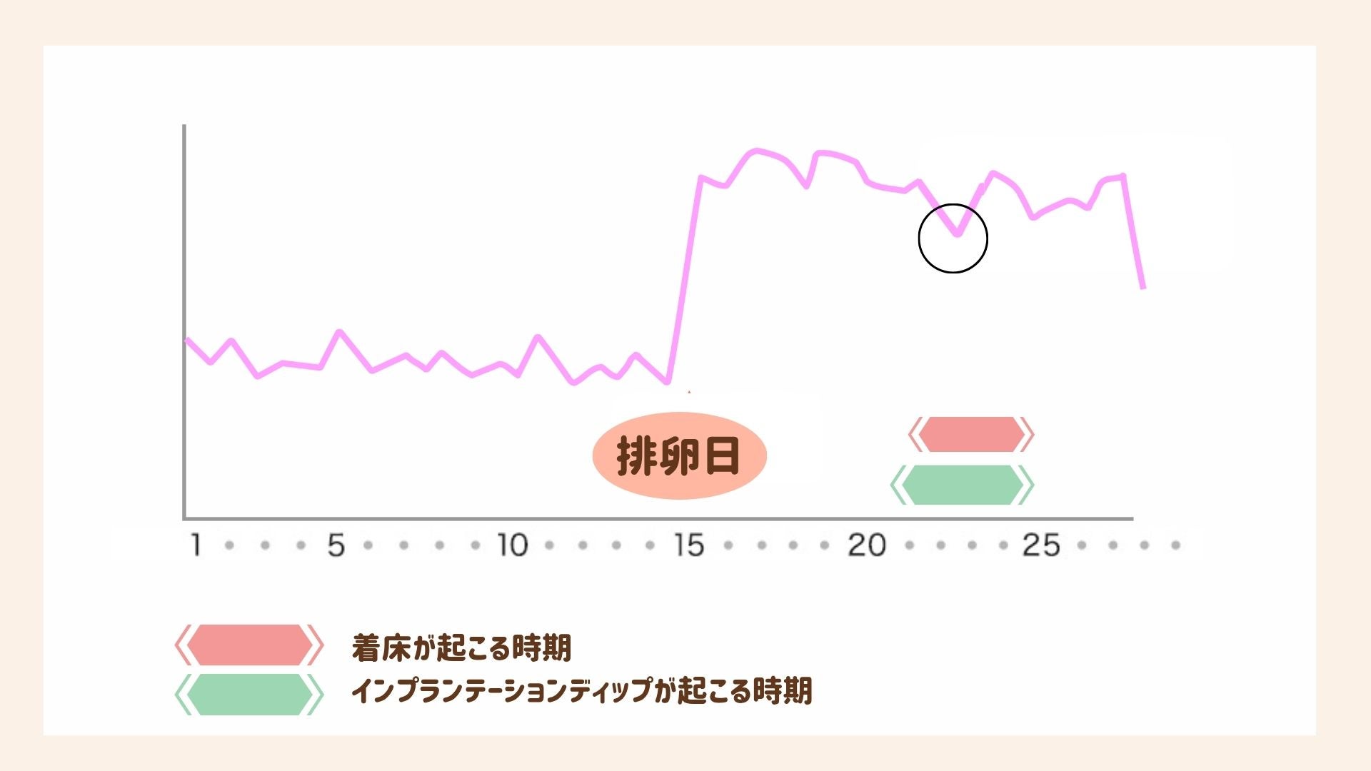 インプランテーションディップと着床の関係の図