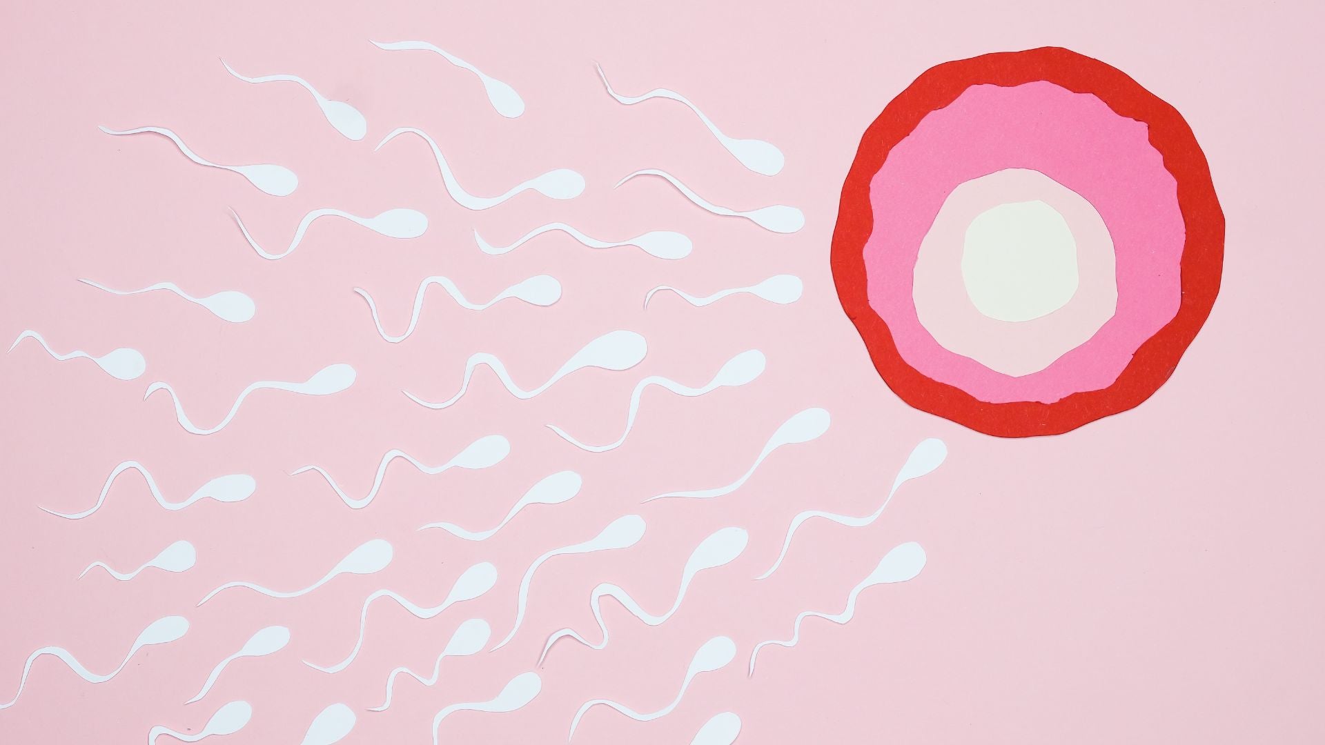 精子を増やす成分とその働きを解説します