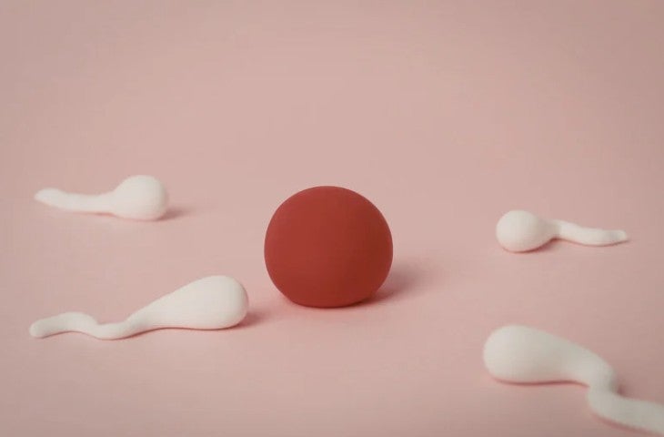 çåºå蚺æãåãã