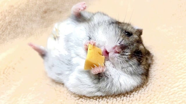 その他の特殊な検査