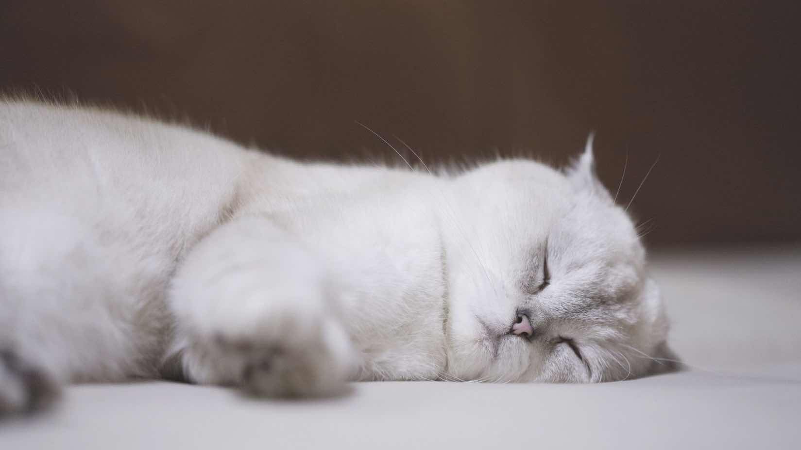 妊活中は質の良い睡眠をとることは大切です