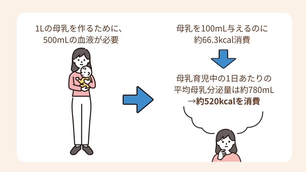 母乳を作り出すためには血液が使われるため、たくさんのカロリーを消費します。1Lの母乳を作るために、なんと500mLもの血液が使われ