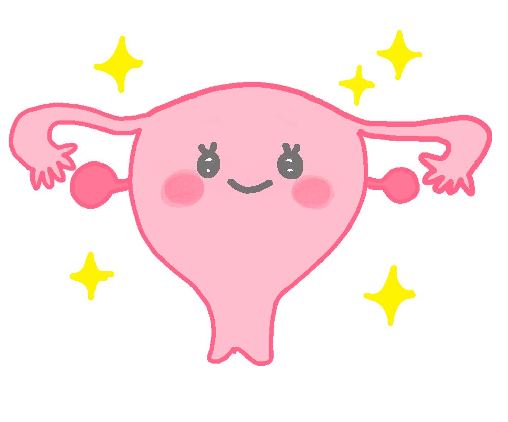 子宮のイラスト