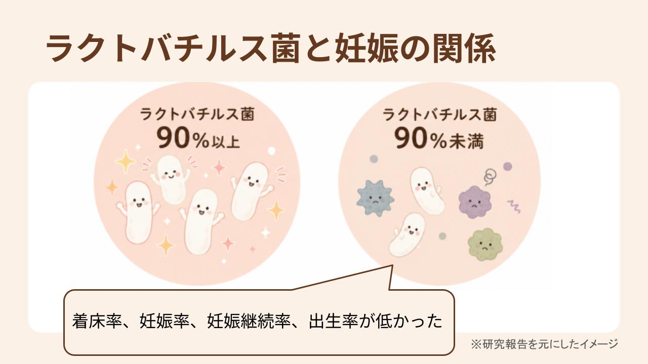 ラクトバチルスが少ないグループで、着床率、妊娠率、妊娠継続率、出生率が低かった