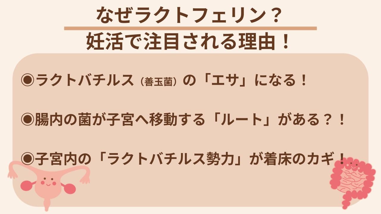 腸内と子宮内の密接な関係、妊活分野で研究が進んでいる