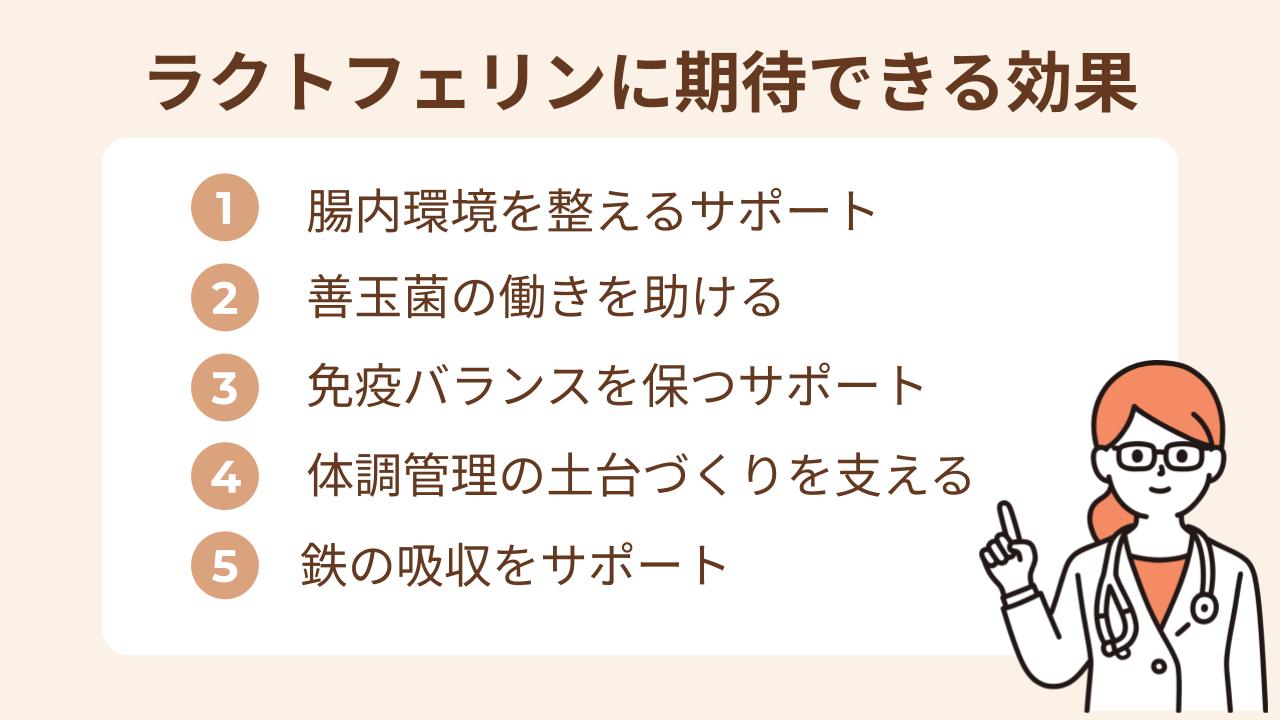 ラクトフェリンは、体内の環境を整える働きが期待されている成分。特に、腸内環境との関係が注目されています。