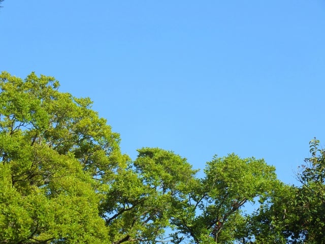 妊娠後期はもうすぐ訪れる出産に向けて不安や緊張を感じやすく、さらにホルモンバランスの変化も手伝って、意識していなくても実は常に気を張っている状態。そんな妊娠後期には、意識してリラックスタイムを作っていきましょう。