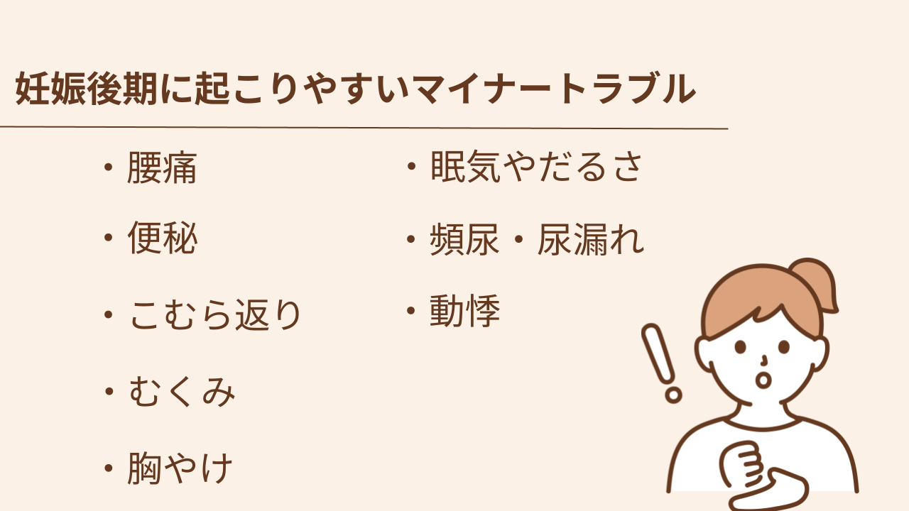 妊娠後期に起こりやすいマイナートラブルは、腰痛、便秘、こむら返り、むくみ、胸やけ、眠気やだるさ、頻尿・尿漏れ、動悸です。