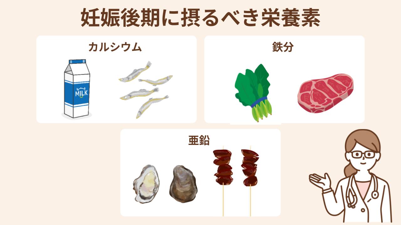 妊娠後期は葉酸以外に、カルシウム、鉄分、亜鉛が必要