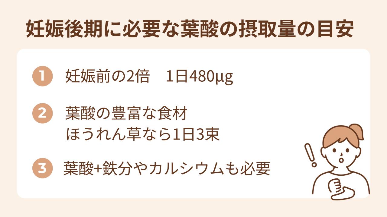 妊娠後期の葉酸の目安量は1日480μg、ほうれん草なら1日3束が必要