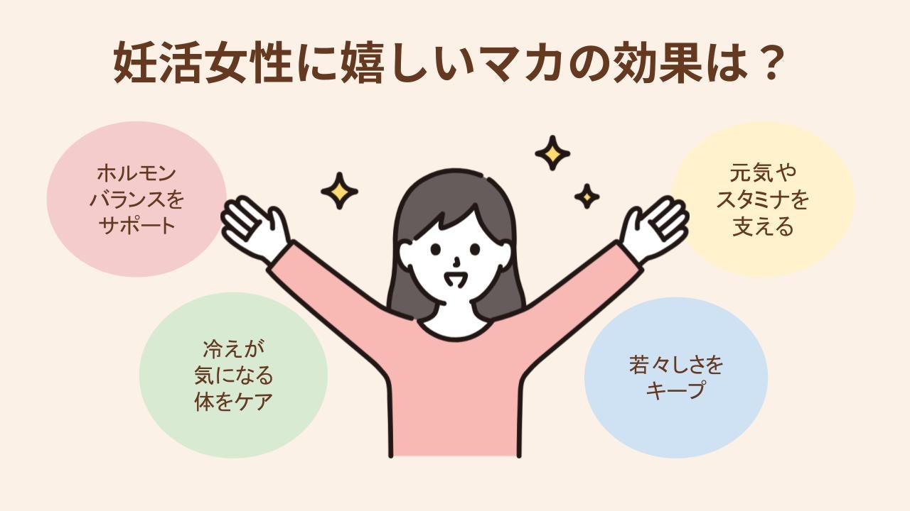 マカの含む栄養素や妊活女性に嬉しい4つの効果を紹介