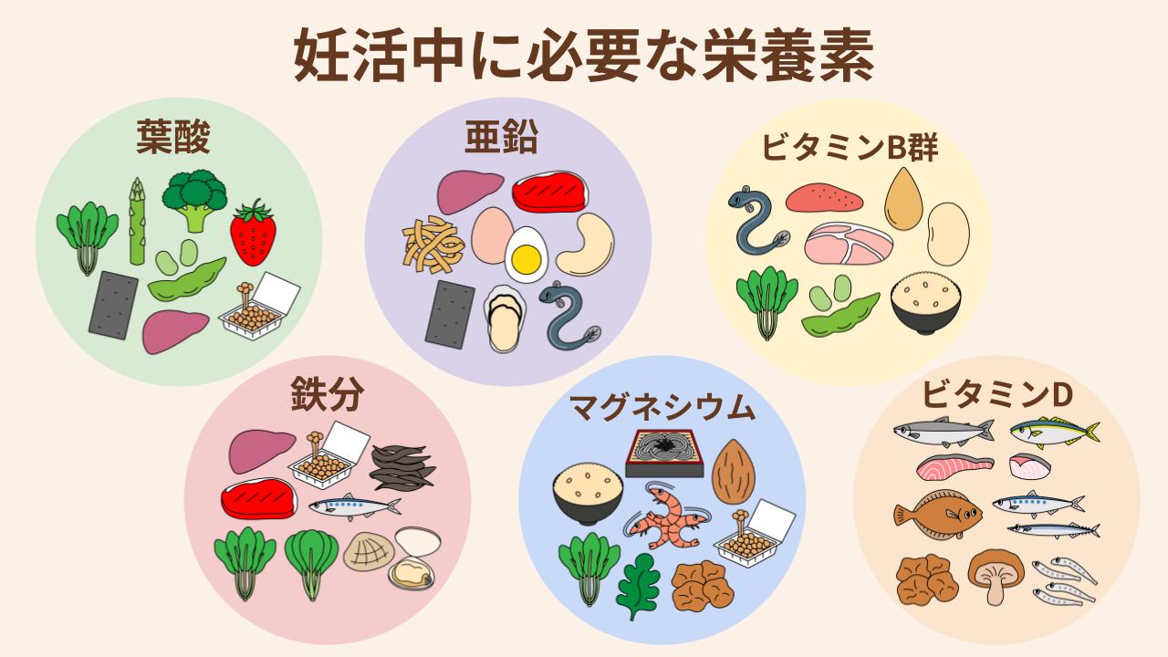 妊活中に必要な栄養素と多く含む食材を紹介