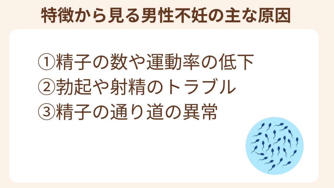 男性不妊の主な原因