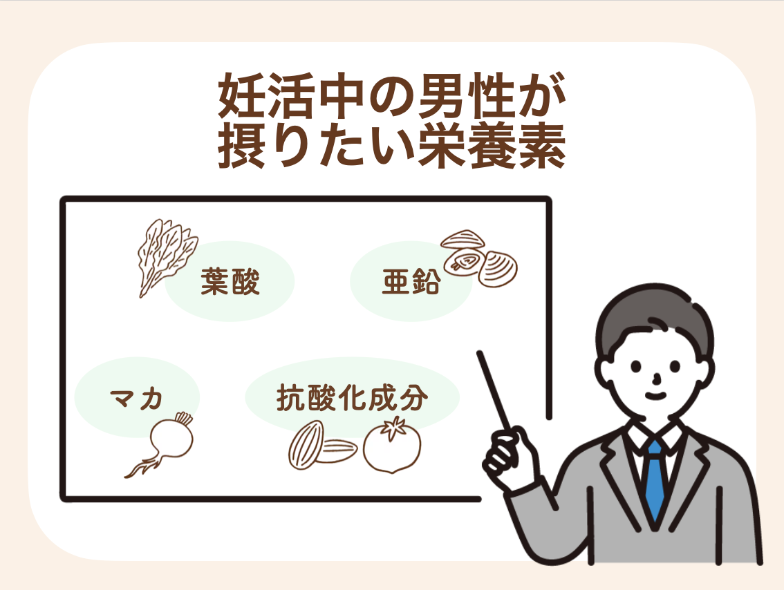 葉酸、亜鉛、マカ、抗酸化成分