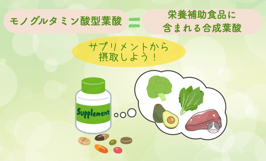 モノグルタミン酸はサプリメントから摂取しよう