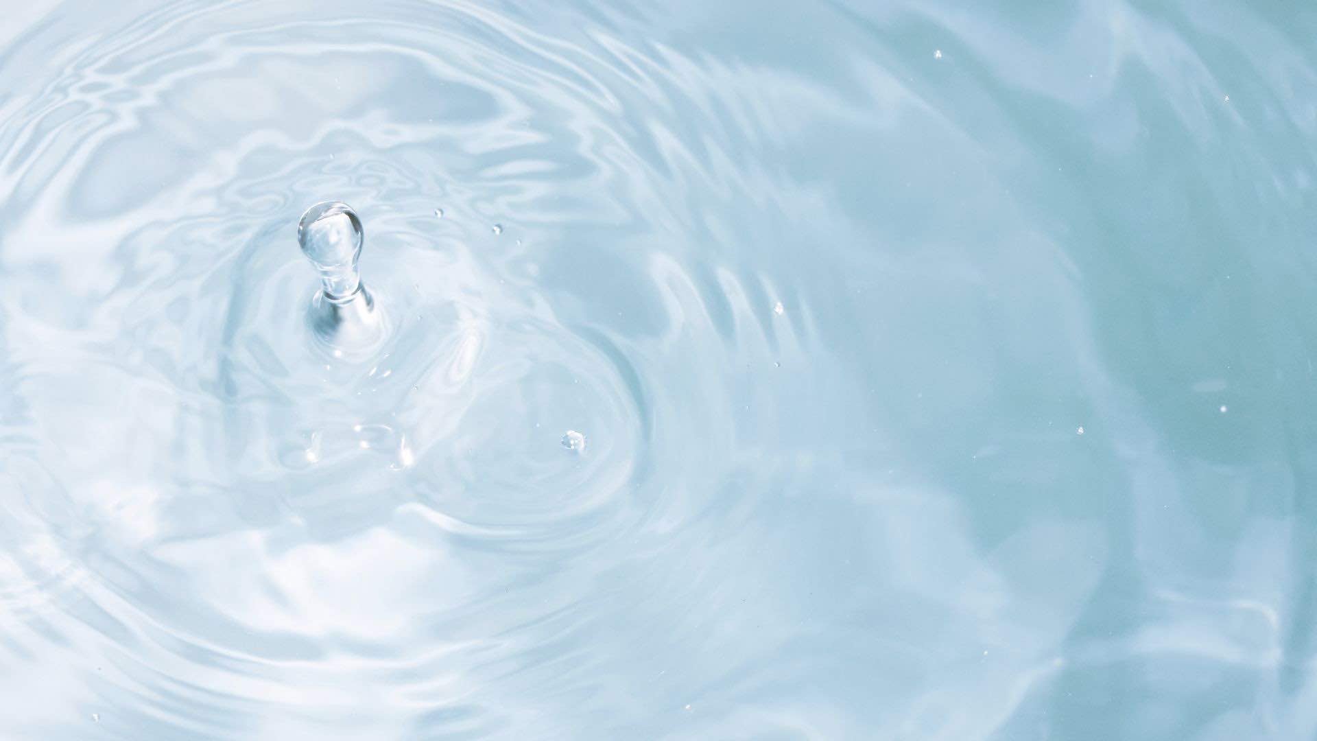 摂った水分は母体や胎児のためにからだを循環します