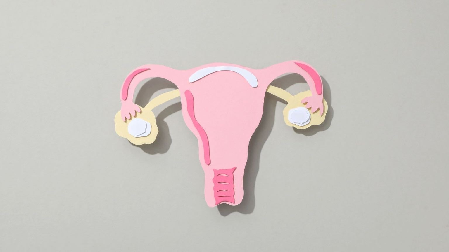 妊娠に伴うホルモンバランスの変化は皮膚の乾燥に影響します