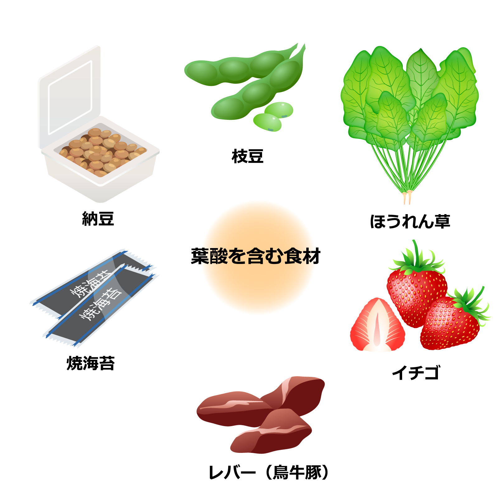 葉酸を含む食材はほうれん草、イチゴ、レバー、焼き海苔、納豆、枝豆など