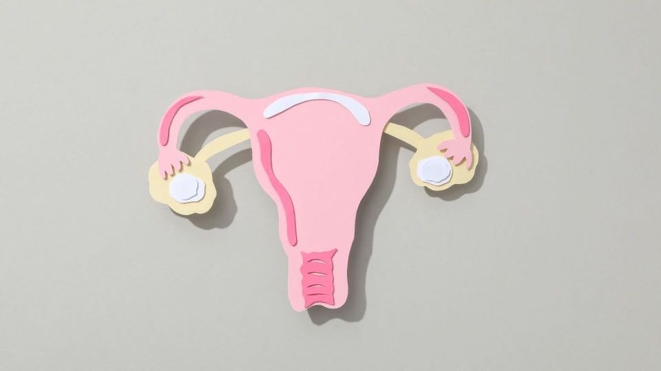 卵管の通りとは？妊娠との関係を正しく理解しよう