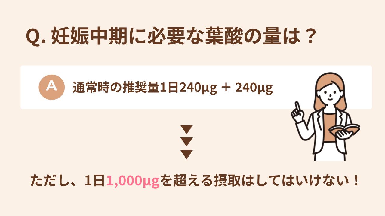 妊娠中期に必要な葉酸の量は、通常時の推奨量1日240μg＋240μg