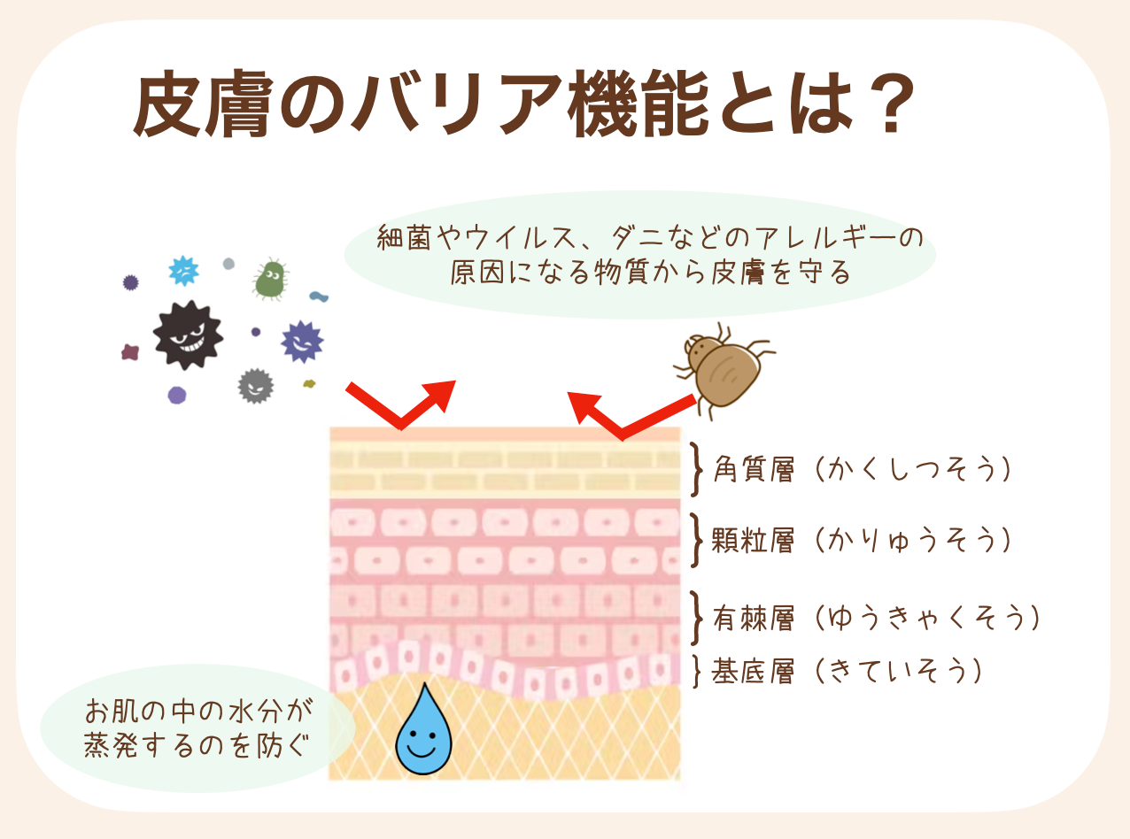 皮膚のバリア機能が未熟