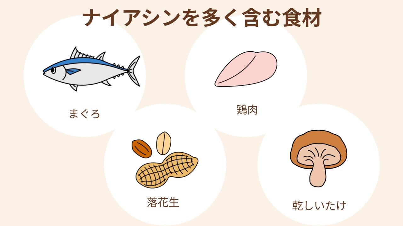 ナイアシンを多く含むのは肉や魚介類、きのこ、落花生など